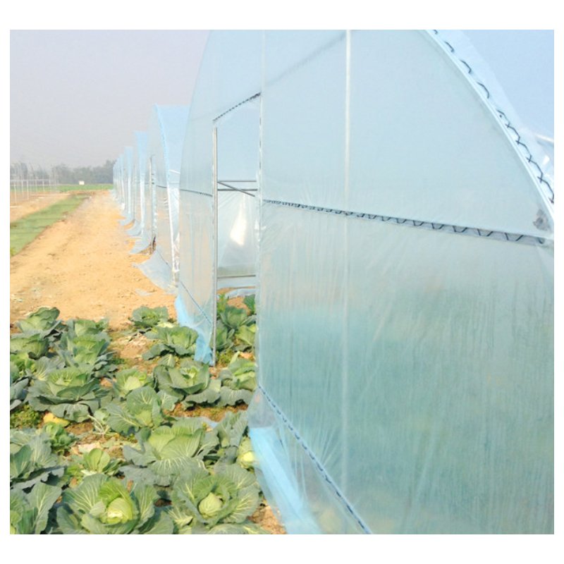 Indoor Plant Farming with Agricultural Greenhouses for Growing and Cultivating Vegetables Fruits Flowers and Herbs