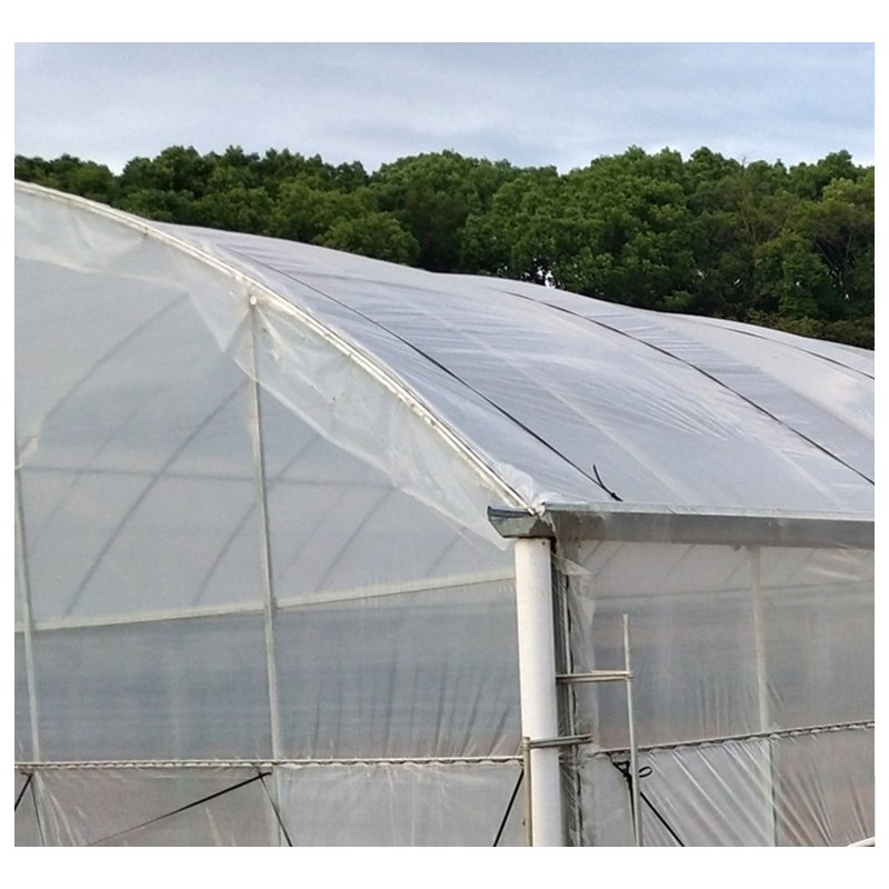 Indoor Plant Farming with Agricultural Greenhouses for Growing and Cultivating Vegetables Fruits Flowers and Herbs