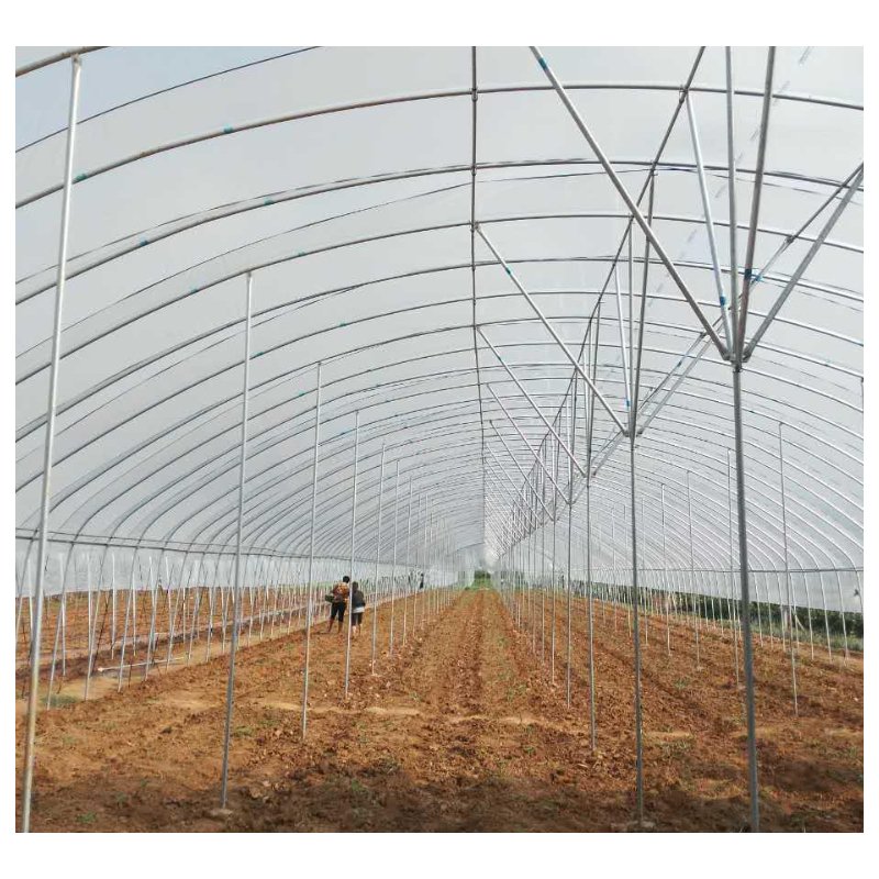 Indoor Plant Farming with Agricultural Greenhouses for Growing and Cultivating Vegetables Fruits Flowers and Herbs