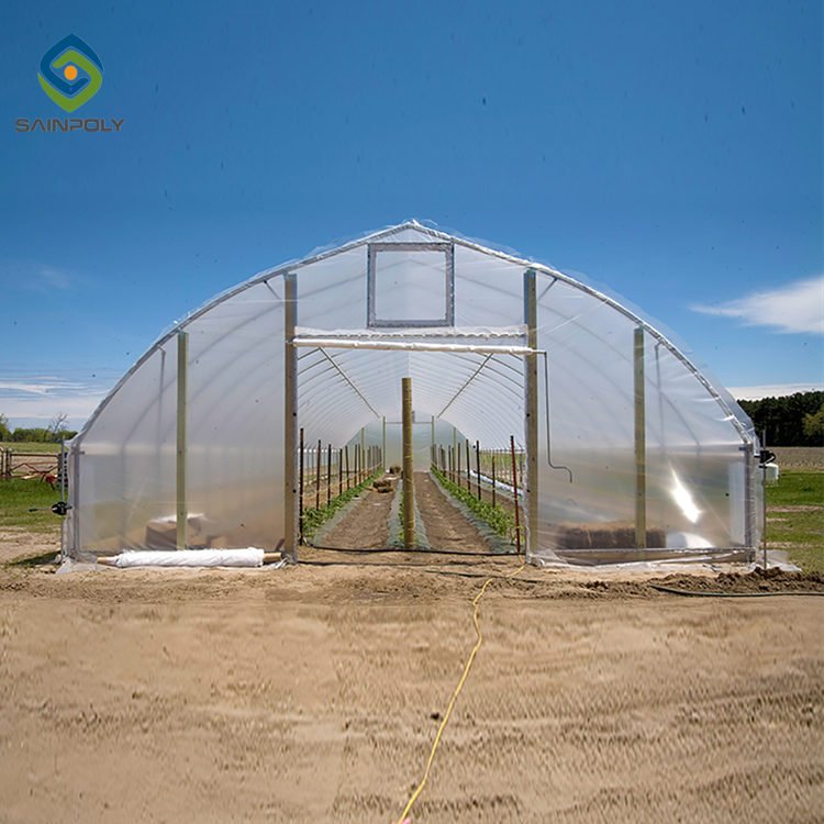 Low Cost Single-span Film Plastic Tunnel Agricultural Greenhouse on sale