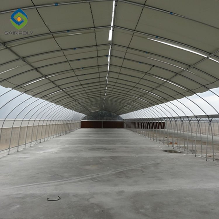 Low Cost Single-span Film Plastic Tunnel Agricultural Greenhouse on sale