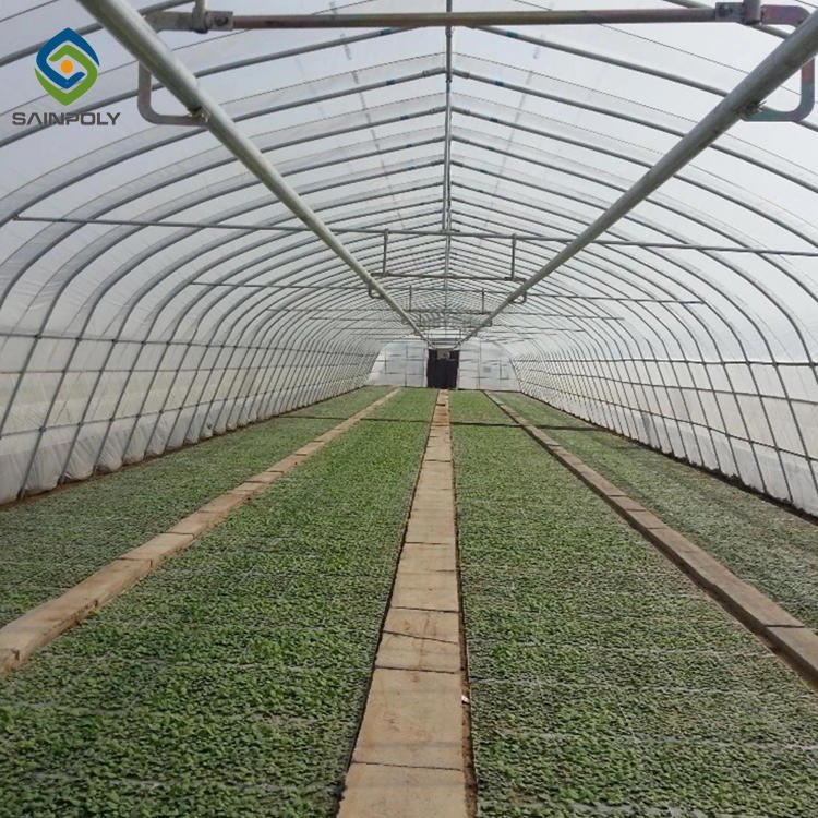 Low Cost Single-span Film Plastic Tunnel Agricultural Greenhouse on sale