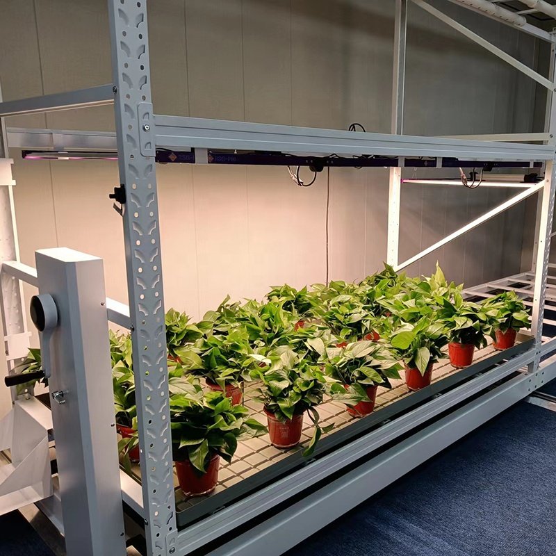 Agriculture Vertical Farming Modern Greenhouse Equipment Hydroponic Growing Rack