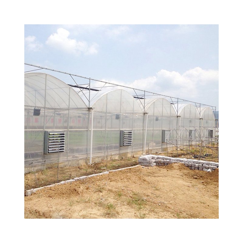 Best Price Agricultural multi-span greenhouse for sale strong tunnels green house for vegetables designable other greenhouse