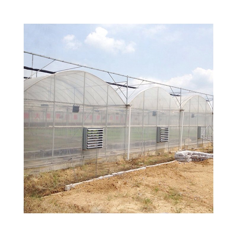 Best Price Agricultural multi-span greenhouse for sale strong tunnels green house for vegetables designable other greenhouse
