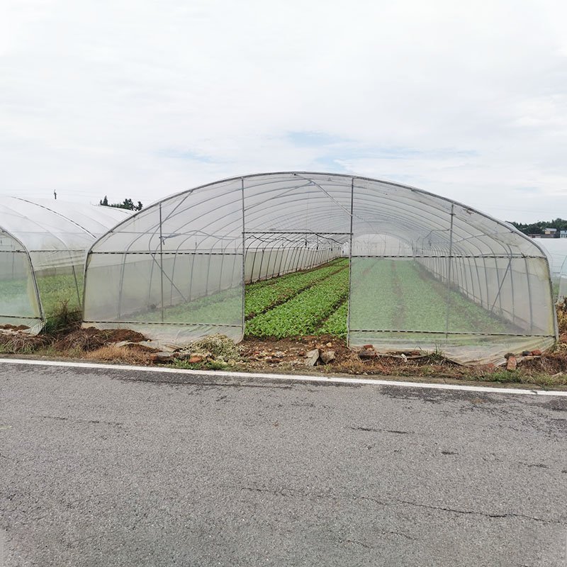 Arch plastic film large greenhouses hydroponics growing high tunnels plastic film agricultural greenhouses