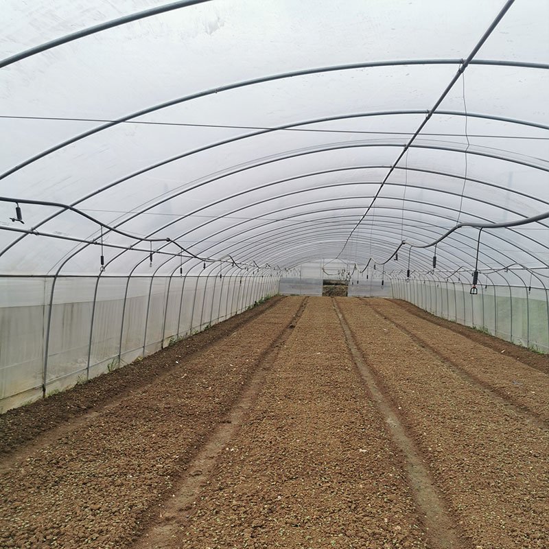 Arch plastic film large greenhouses hydroponics growing high tunnels plastic film agricultural greenhouses