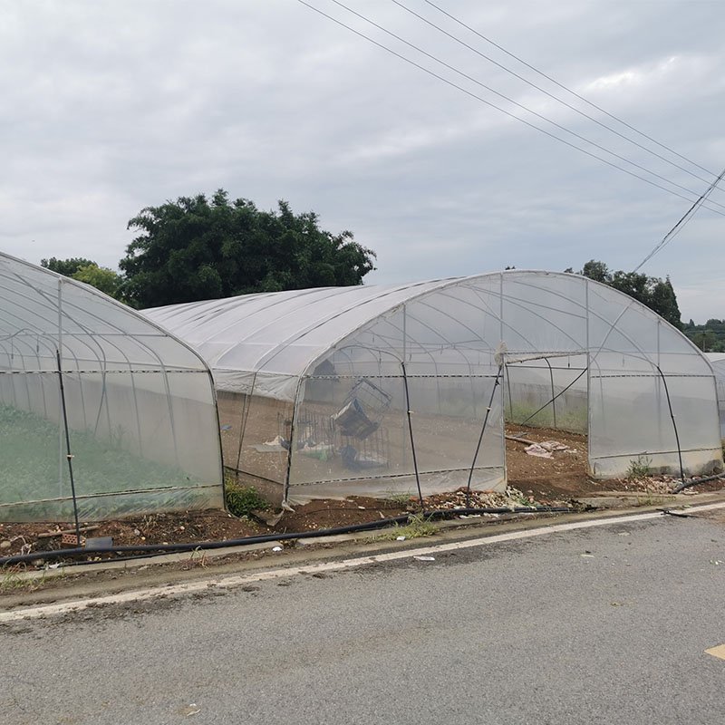 Arch plastic film large greenhouses hydroponics growing high tunnels plastic film agricultural greenhouses