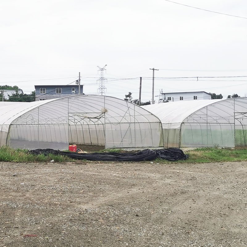 Arch plastic film large greenhouses hydroponics growing high tunnels plastic film agricultural greenhouses