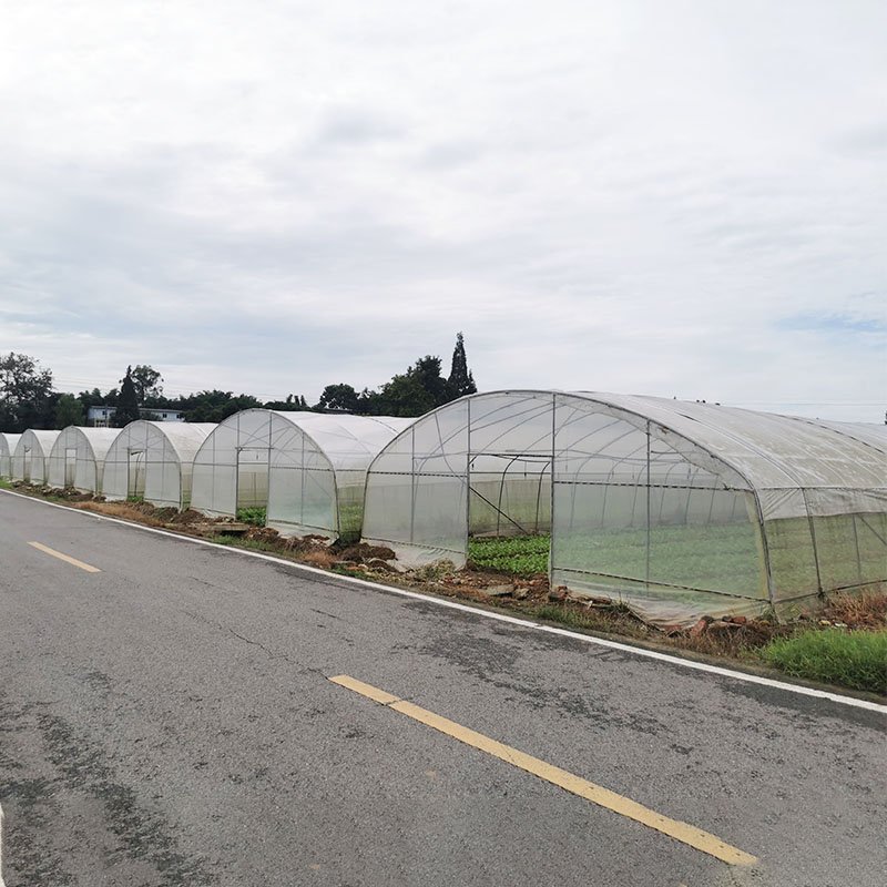 Arch plastic film large greenhouses hydroponics growing high tunnels plastic film agricultural greenhouses