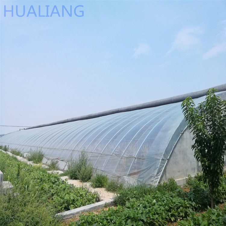 Chinese Style Solar Heater Greenhouses With Thermal Insulation Blanket