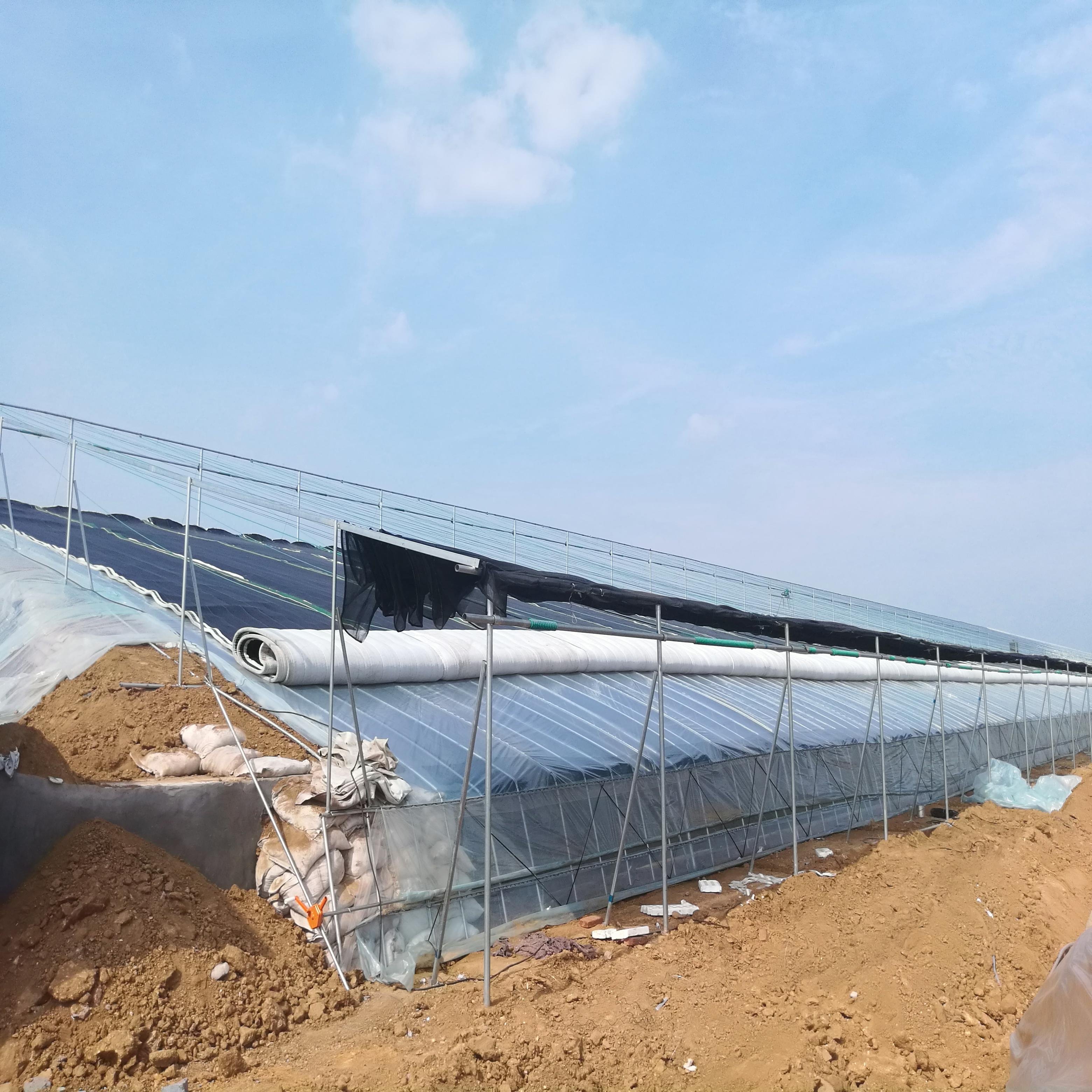 Chinese Style Solar Heater Greenhouses With Thermal Insulation Blanket