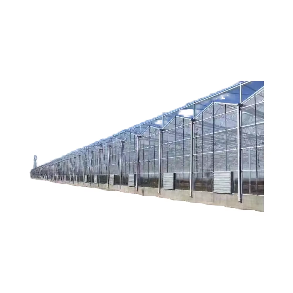 Multi-functional multi-span Venlo glass greenhouse flower intelligent glass sun panel greenhouse greenhouse