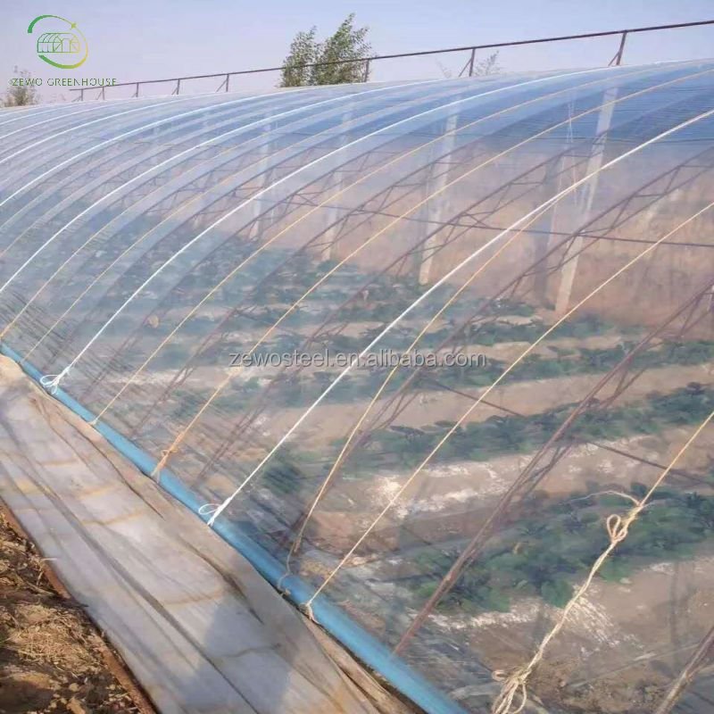 Complete Gutter Tubing Hydroponic System Tomato Multi-span Agricultural Greenhouse from China factory