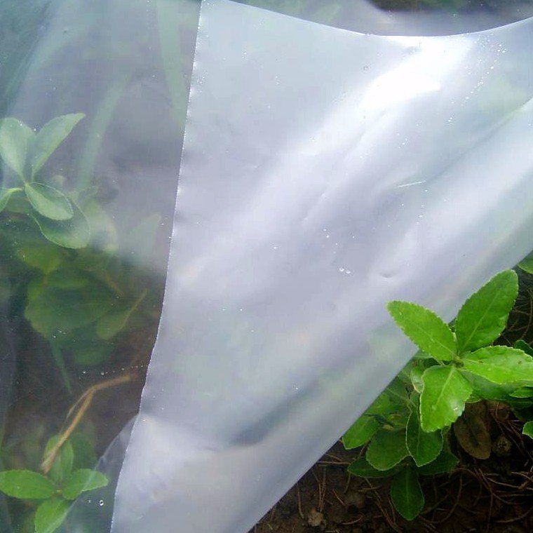 150mic Transparent Greenhouse Film with UV Protection Plastic Shed Covering for Tomatoes Agricultural PE Greenhouses Film