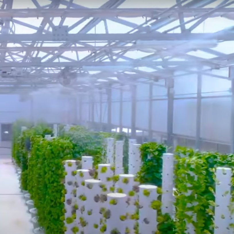 Aeroponic growing pineapple towers hydroponics vertical systems for agricultural greenhouse