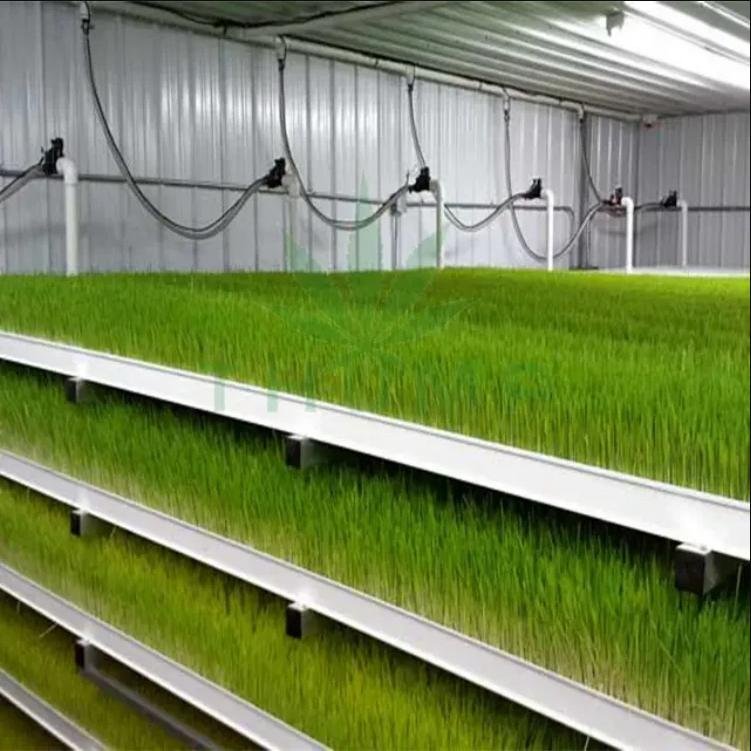 Automatic Planting System Animal Fodder Hydroponic Feed Wheatgrass Vertical Farming Systems Agriculture Greenhouse