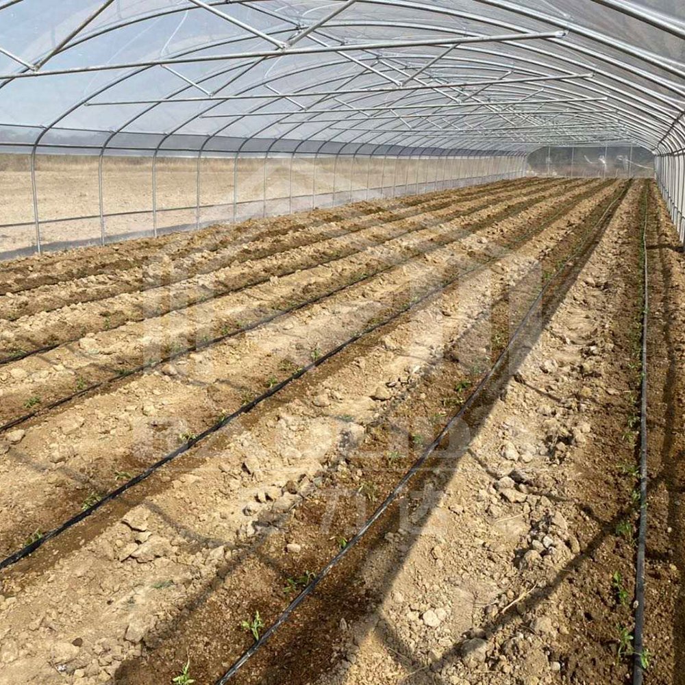 Baolida plastic film cover hothouse metal frames hoop tunnel house agriculture greenhouse for sale