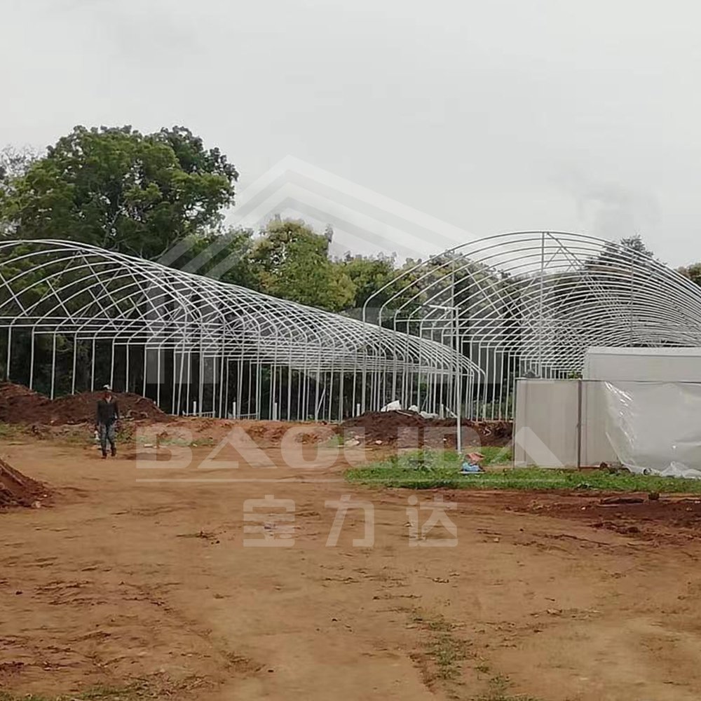 Baolida plastic film cover hothouse metal frames hoop tunnel house agriculture greenhouse for sale