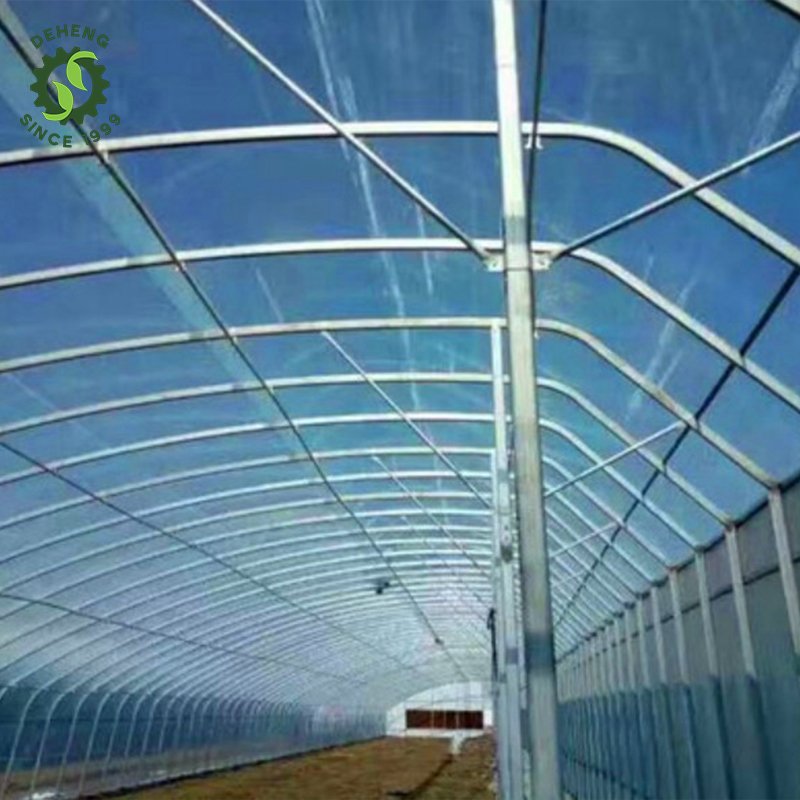High Quality Service House Frame Single-Span Greenhouse Insulation Agricultural Greenhouses For Vegetables Growing