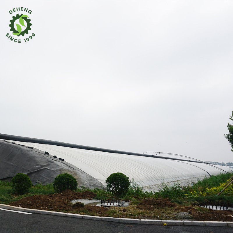 High Quality Service House Frame Single-Span Greenhouse Insulation Agricultural Greenhouses For Vegetables Growing