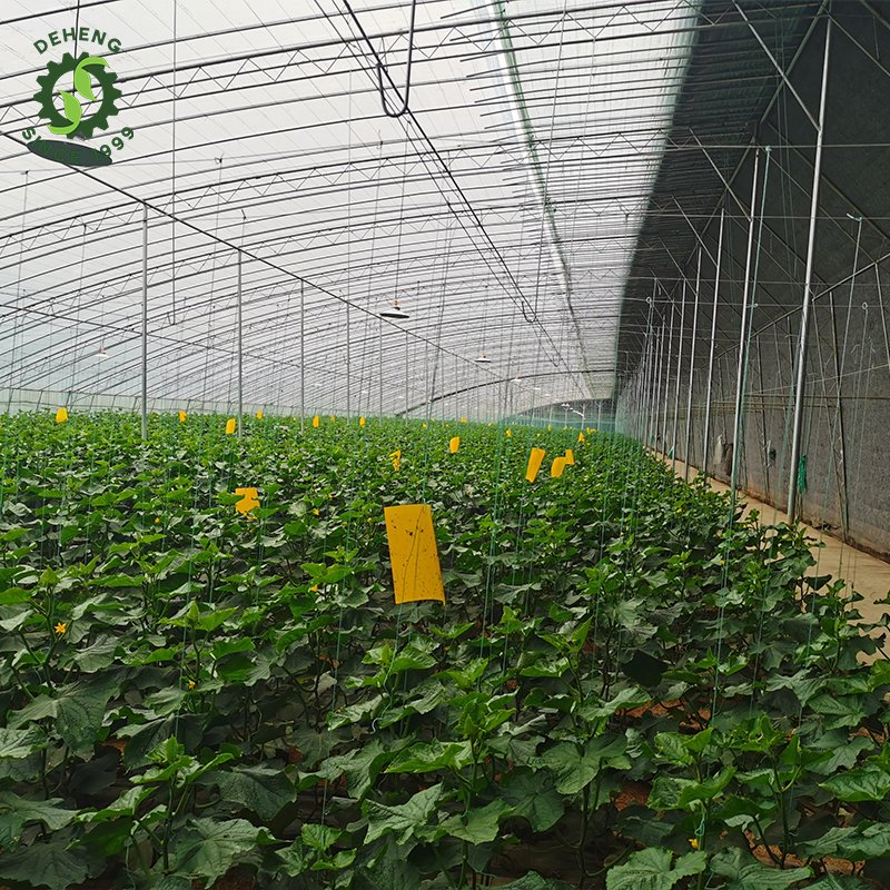 High Quality Service House Frame Single-Span Greenhouse Insulation Agricultural Greenhouses For Vegetables Growing