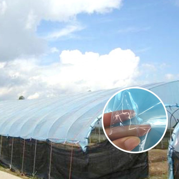200 microns Light Diffusion PE Film UV Resistant UV Plastic Poly Film Tunnel Grow Vegetable Greenhouse