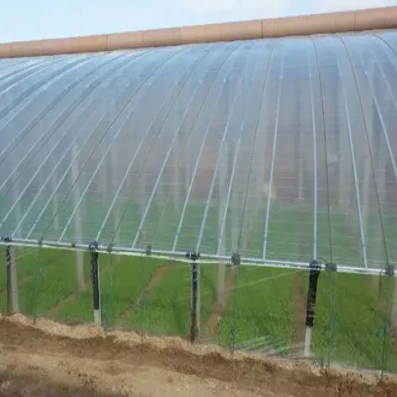 200 microns Light Diffusion PE Film UV Resistant UV Plastic Poly Film Tunnel Grow Vegetable Greenhouse