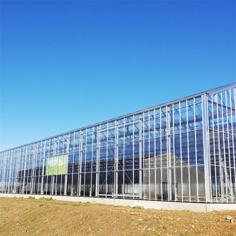 Complete Glass Agricultural Greenhouse Turnkey Project With Quick Construction