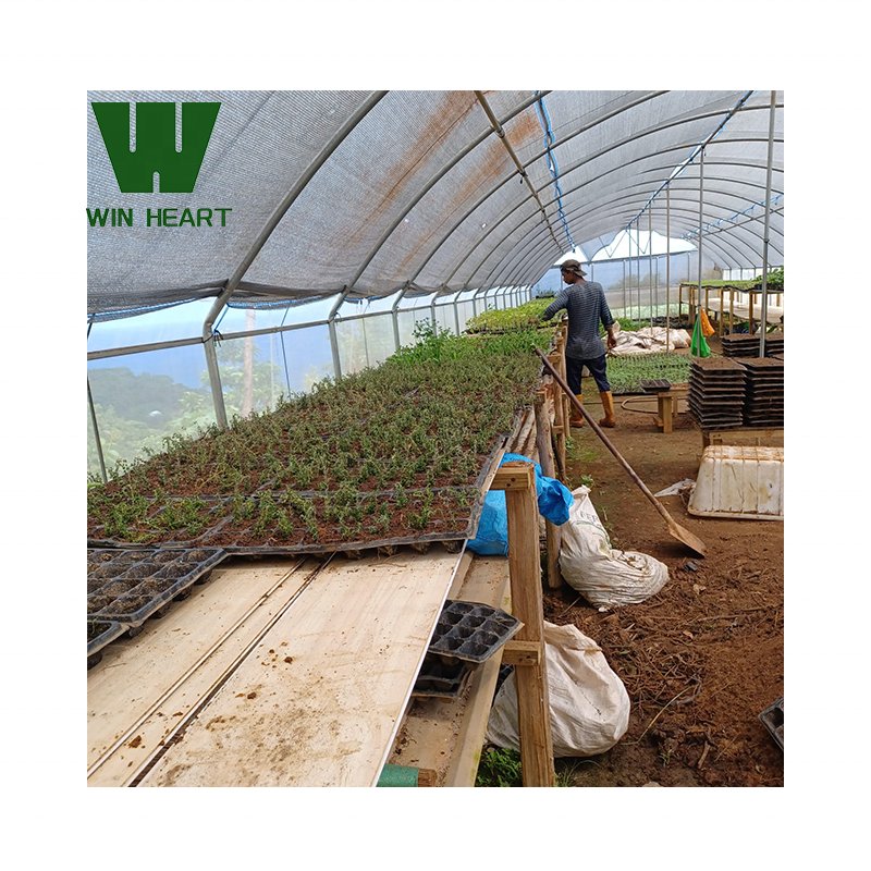 plastic film serre agricole High tunnel single span single layer serre agricultural greenhouses for tomatoes