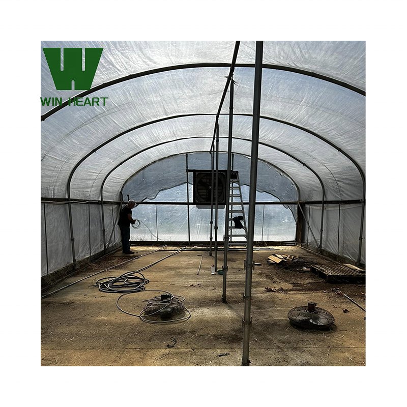 plastic film serre agricole High tunnel single span single layer serre agricultural greenhouses for tomatoes