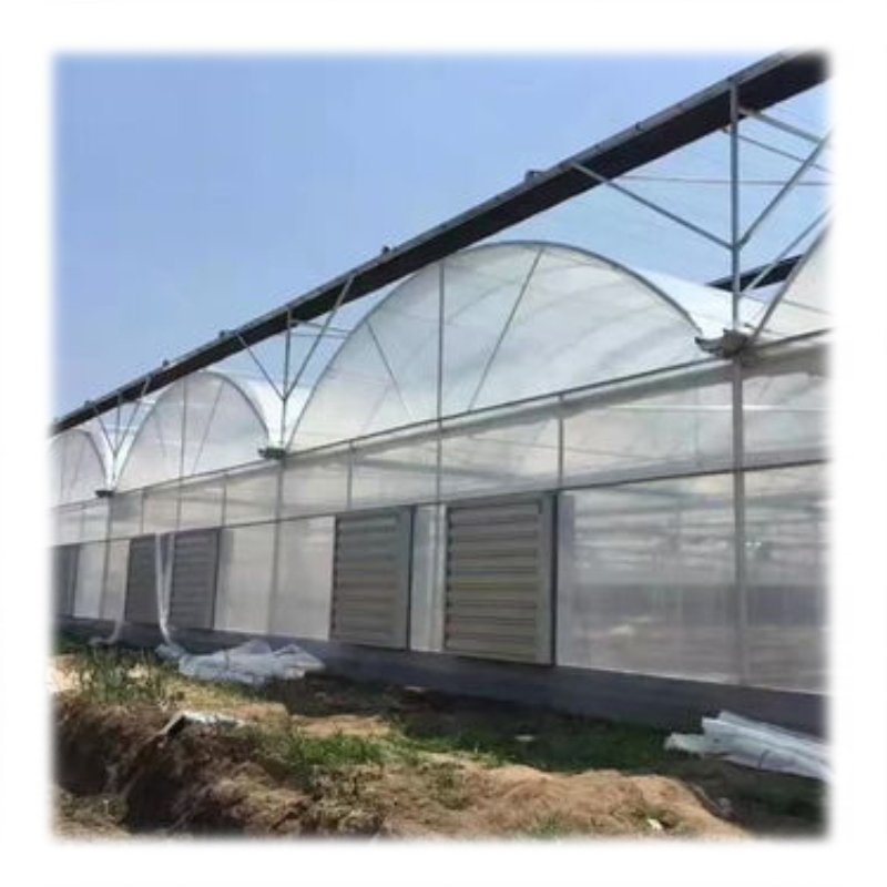 Tunnel plastic film greenhouse agricultural greenhouse