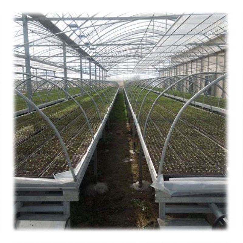 Tunnel plastic film greenhouse agricultural greenhouse