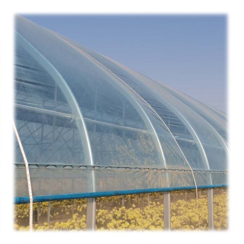 Tunnel plastic film greenhouse agricultural greenhouse