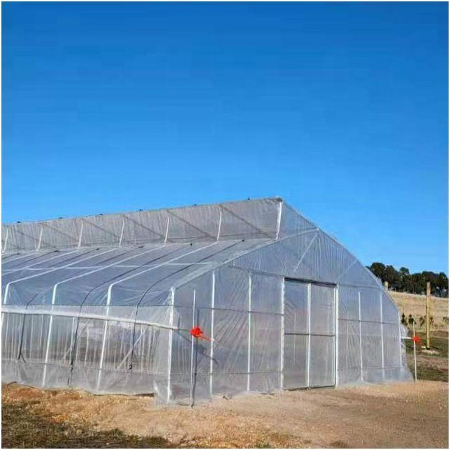 Agricultural sawtooth greenhouse roof window greenhouse low cost tunnel greenhouse