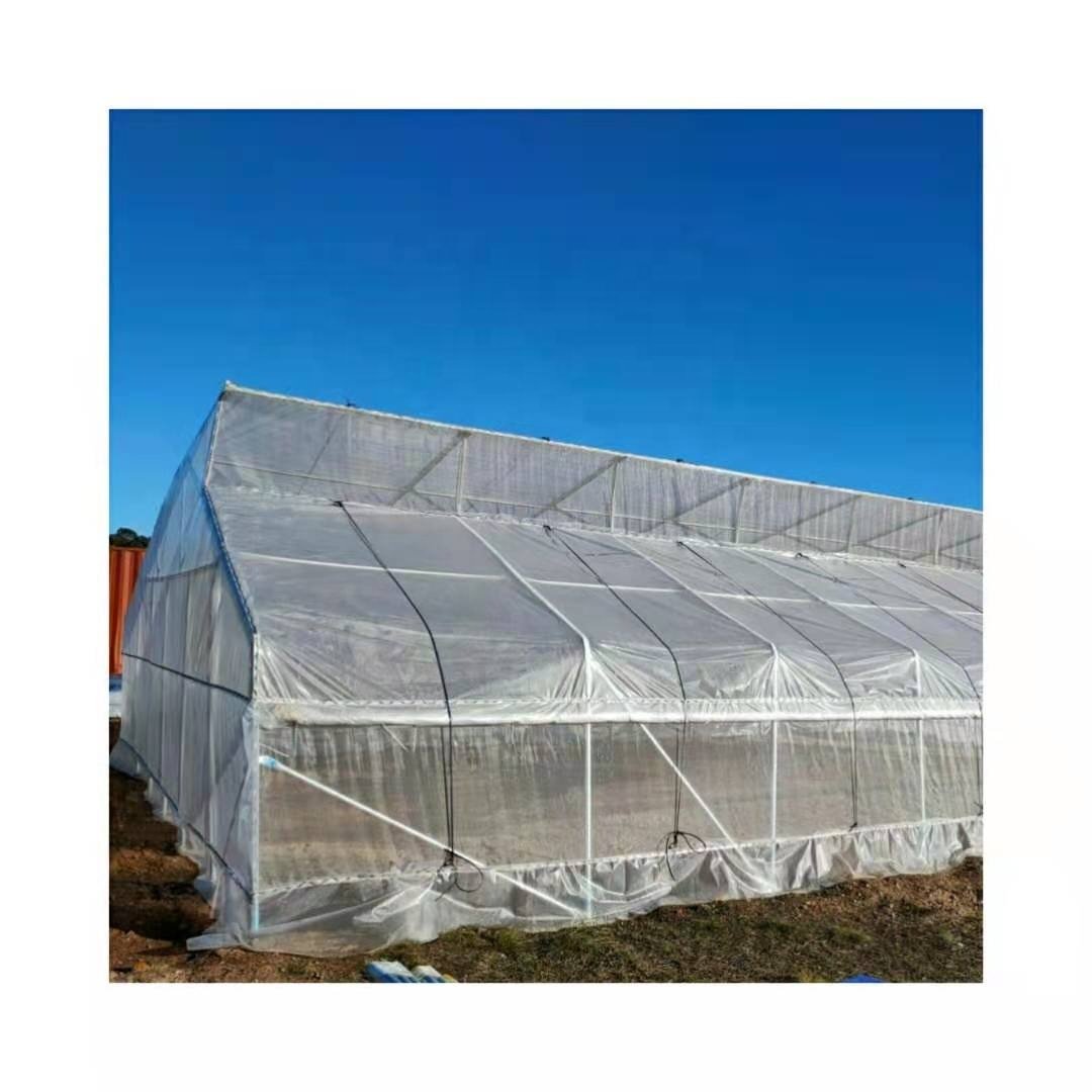 Agricultural sawtooth greenhouse roof window greenhouse low cost tunnel greenhouse