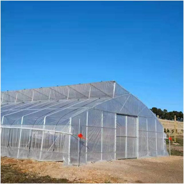 Agricultural sawtooth greenhouse roof window greenhouse low cost tunnel greenhouse