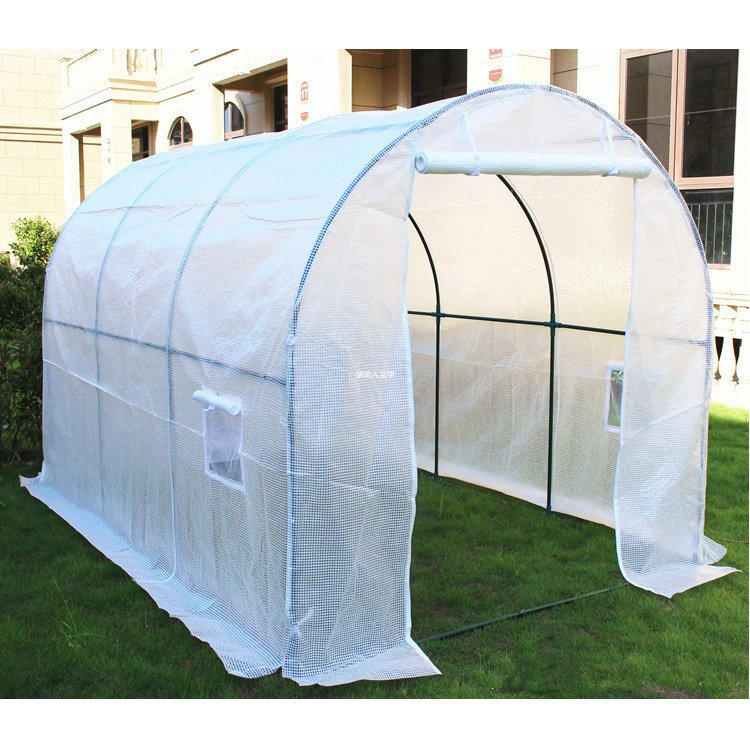Mini garden hydroponic vegetables greenhouse