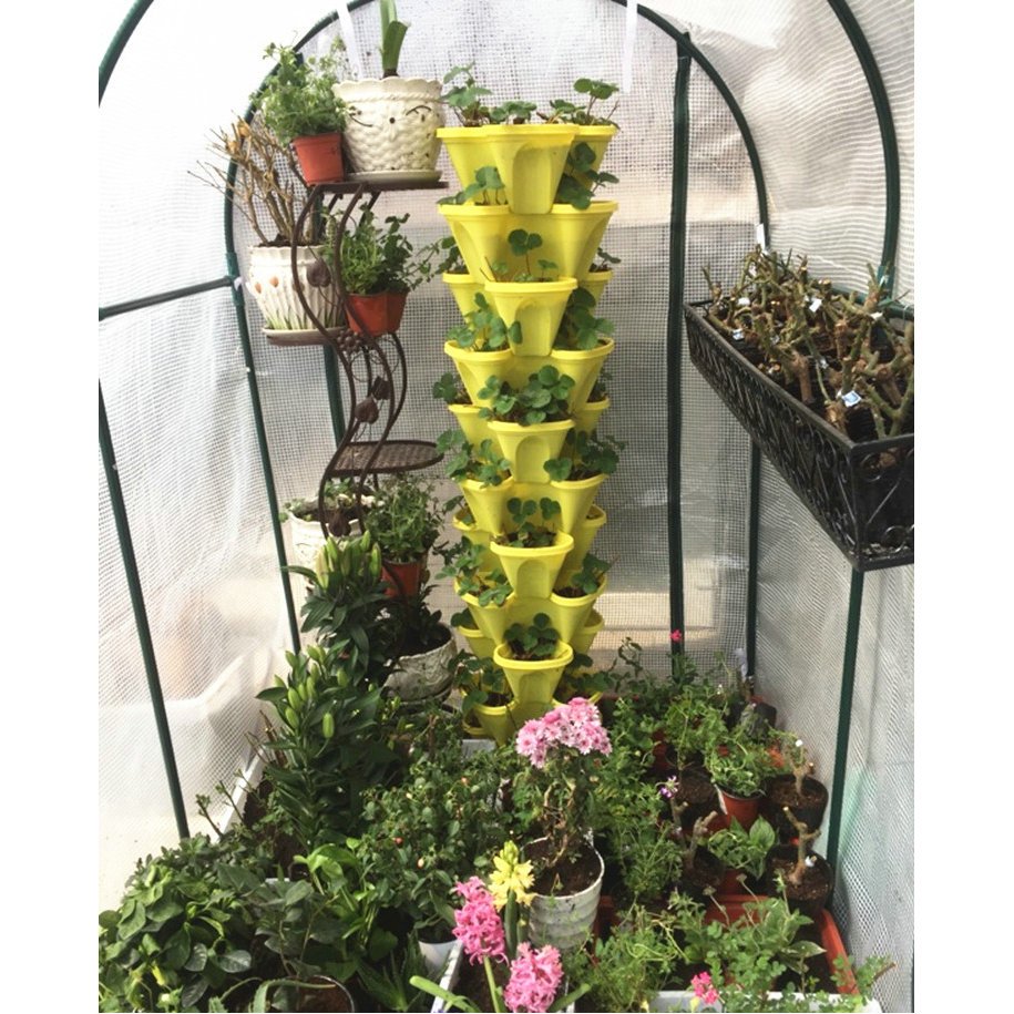 Mini garden hydroponic vegetables greenhouse