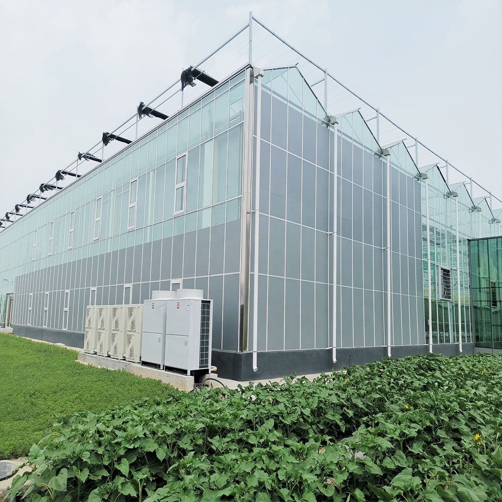 Multi-span agricultural glass greenhouse frame green house agricultural manufacturers greenhouse for tomato