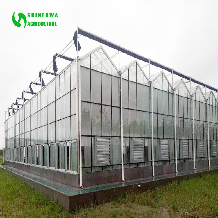 Multi-span agricultural glass greenhouse frame green house agricultural manufacturers greenhouse for tomato