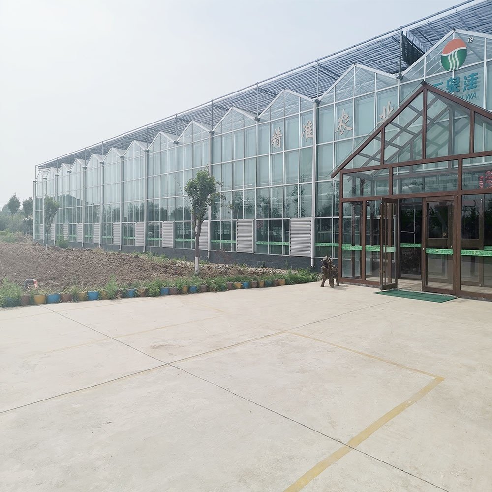 Multi-span agricultural glass greenhouse frame green house agricultural manufacturers greenhouse for tomato