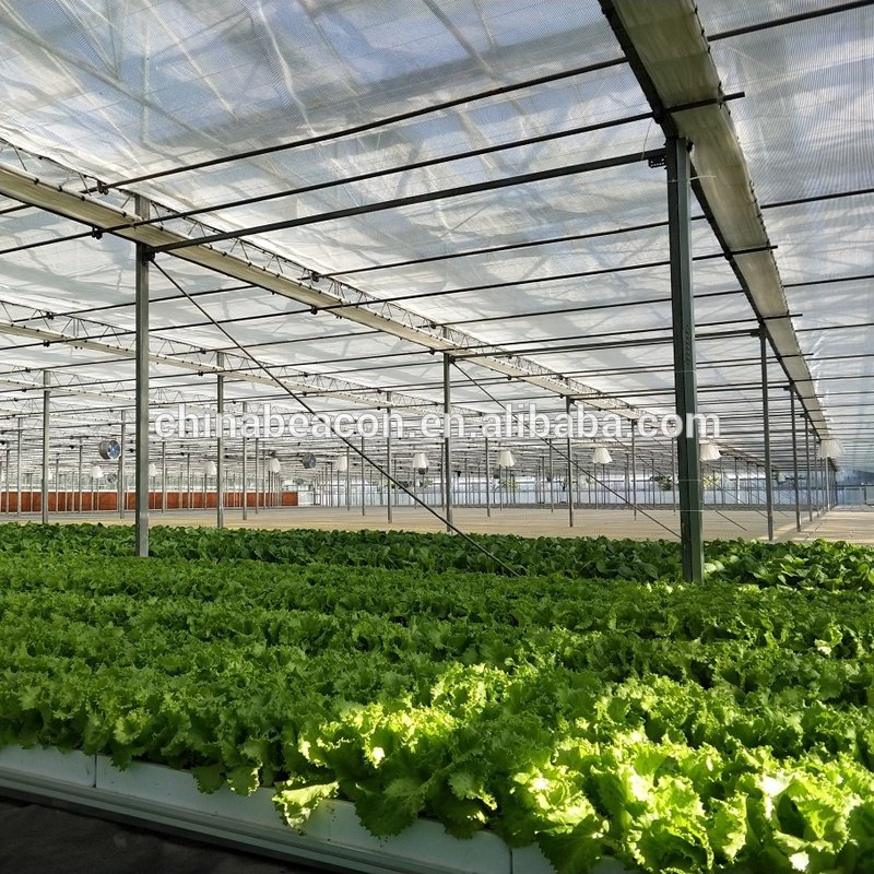 Multi-span agricultural glass greenhouse frame green house agricultural manufacturers greenhouse for tomato