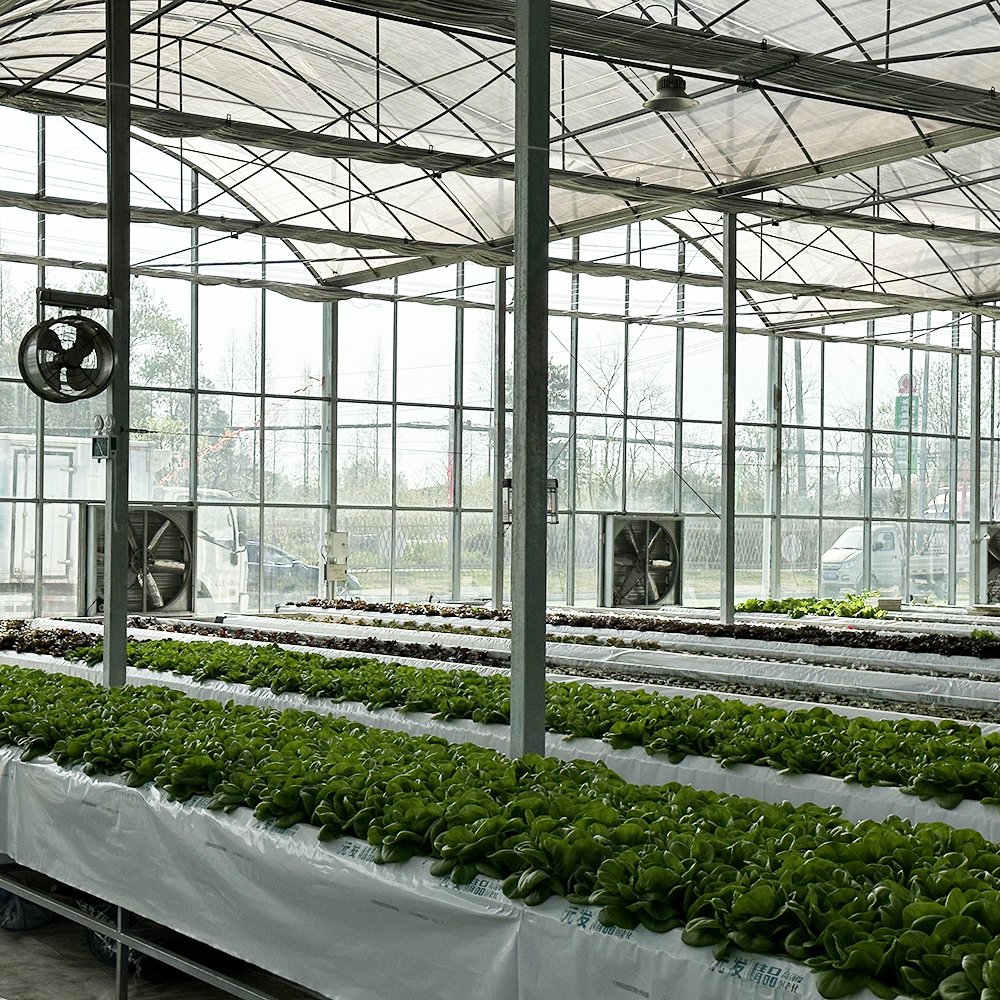 Baolida commercial Invernadero serre outdoor hothouse multispan green house glass greenhouse kit for tomatoes