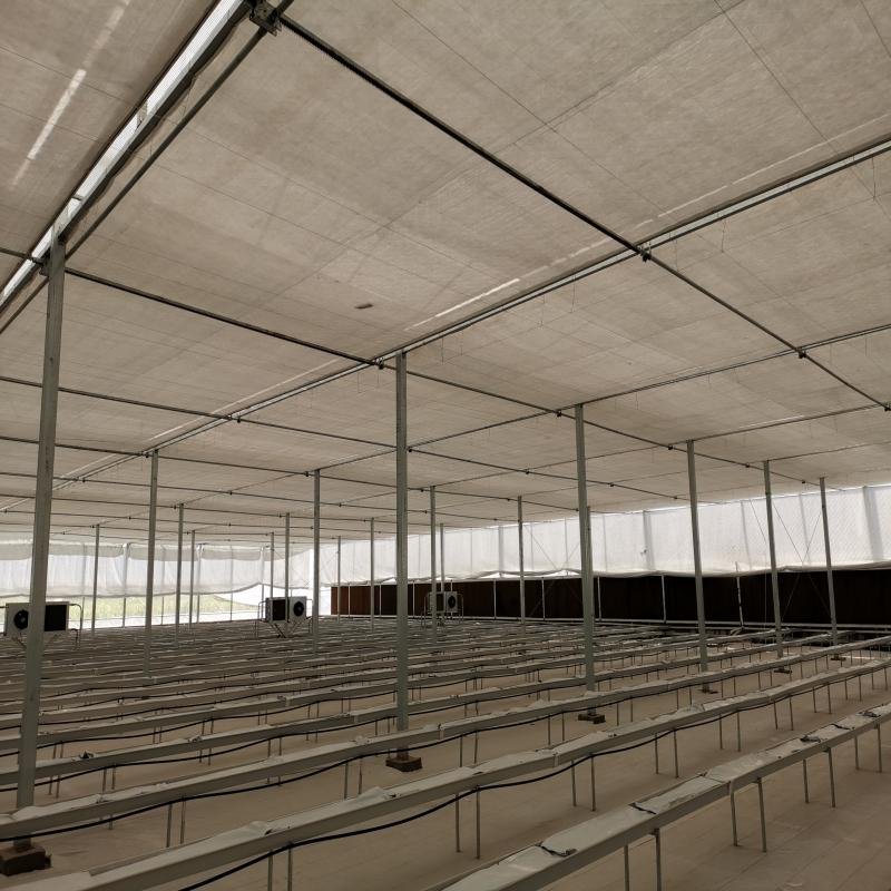 Multi Span Agricultural Greenhouse Film Green House for Vegetable Growing in Uzbekistan