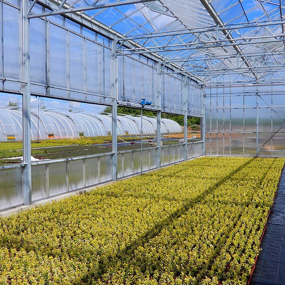 Smart Outer Shade Greenhouse for Vegetable Melon Fruit Grape Planting PE Material Greenhouse Shed Stock