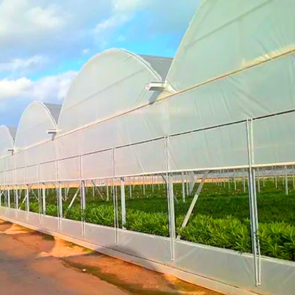 Smart Outer Shade Greenhouse for Vegetable Melon Fruit Grape Planting PE Material Greenhouse Shed Stock