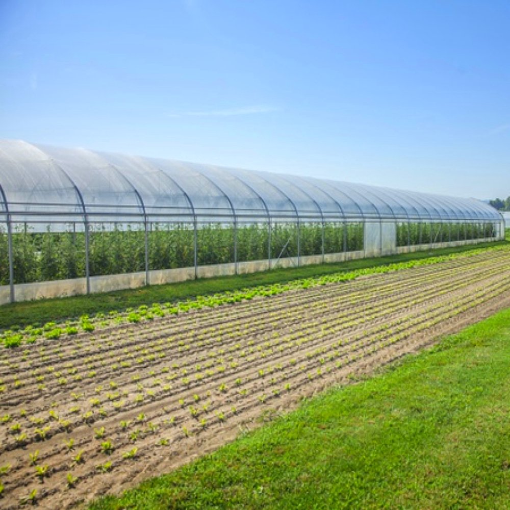 Smart Outer Shade Greenhouse for Vegetable Melon Fruit Grape Planting PE Material Greenhouse Shed Stock