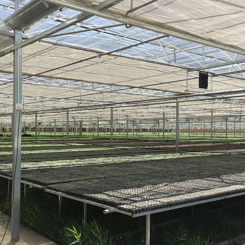 Hot-dipped galvanized frame plastic film agricultural greenhouse with hydroponics system for planting