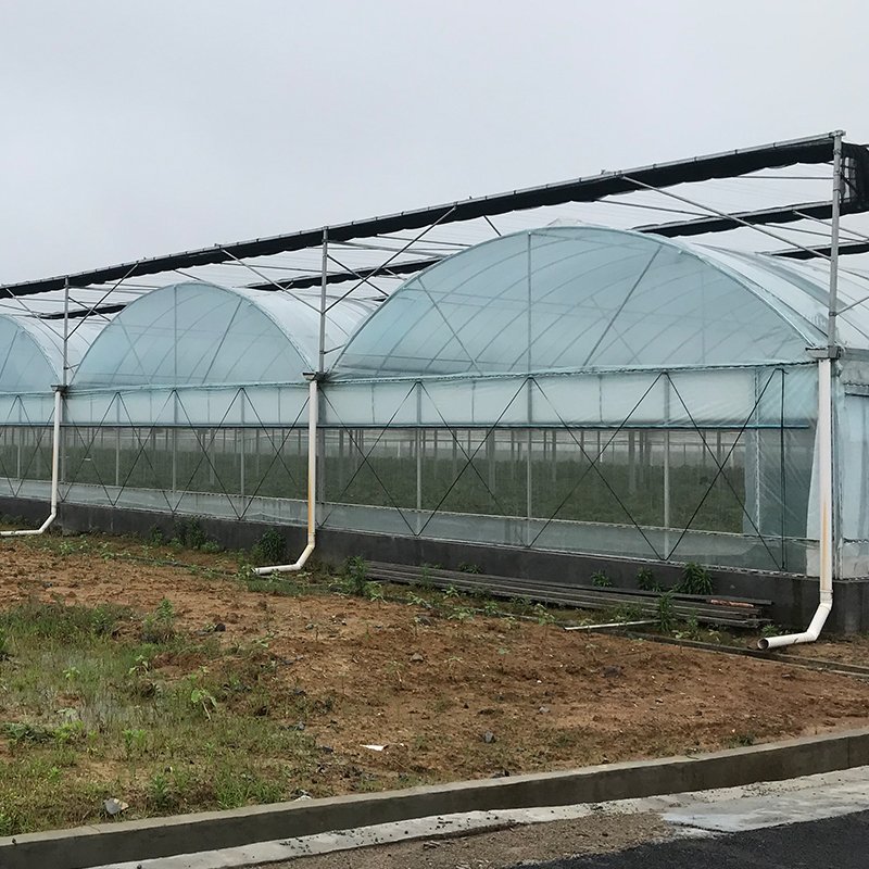 Hot-dipped galvanized frame plastic film agricultural greenhouse with hydroponics system for planting